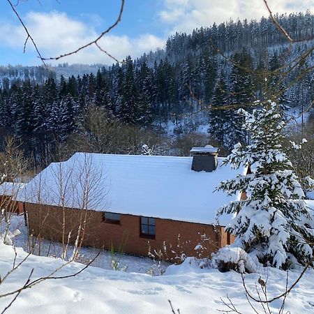 Ferienhaus Becker Willingen  Eksteriør billede